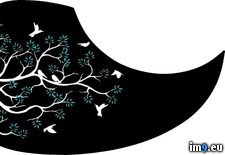 Tags: birds, branches (Pict. in Custom Pickguard Art)