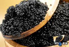 Tags: 1366x768, black, caviar, wallpaper (Pict. in Food and Drinks Wallpapers 1366x768)