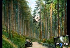 Black Forest - view of a road (1930).1809 (#Black #Forest #Road) - 162 KB Tags: black, forest, road (Pict. in Branson DeCou Stock Images)