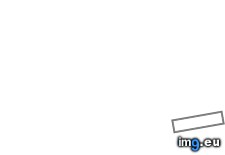 Blank - Banner ( #Banner) - 5 KB Tags: banner (Pict. in Roots Music images)