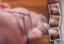 Tags: amateur, animated, cocksucker, ezgif, gay, gif, resize, swallow (GIF in Andrew Meyer loves cock)