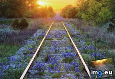 Tags: blue, bonnets, railroad, texas, tracks (Pict. in Beautiful photos and wallpapers)