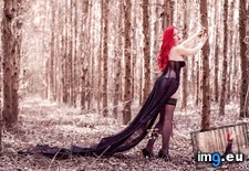 brunabruce-thedarkfairy-11 (#Tits #Boobs #Girls #Tatoo #Brunabruce #Thedarkfairy) - 221 KB Tags: boobs, brunabruce, girls, nature, softcore, suicidegirls, tatoo, thedarkfairy, tits (Pict. in SuicideGirlsNow)