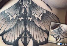 btc-moth-breastplate (#Tits #Sexy #Boobs #Naked #Rosie #Stylish #Nudeinpublic #Moth) - 67 KB Tags: boobs, escort, lingerie, moth, naked, nudeinpublic, public, rosie, sexy, stylish, tattooed, tits (Pict. in Ms. Rosie Wilde, Rosie Levine, Rosie Manhattan nude)