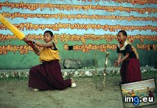 Tags: buddhist, cricket (Pict. in National Geographic Photo Of The Day 2001-2009)