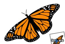 Tags: animation, butterfly (GIF in Mojsze obrazki)