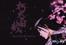 Tags: anime, bleach, byakuya (Pict. in Anime wallpapers and pics)
