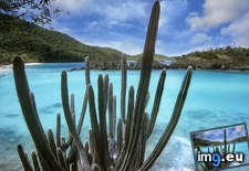 Tags: bay, cactus, islands, national, park, trunk, virgin (Pict. in Beautiful photos and wallpapers)