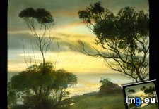 California - view of the coast with trees and a house in the distance (1920-1940).2235 (#California #House #Distance #Trees #Coast) - 102 KB Tags: california, coast, distance, house, trees (Pict. in Branson DeCou Stock Images)