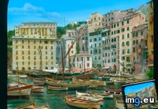 Tags: camogli, harbor, waterfront (Pict. in Branson DeCou Stock Images)