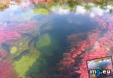 Tags: cano, cristales, river (Pict. in Random images)