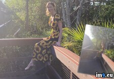 Tags:  (Pict. in Florida Webslut Cassi)