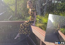 Tags:  (Pict. in Florida Webslut Cassi)