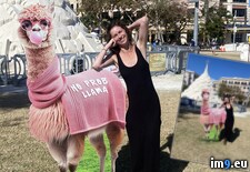 Tags:  (Pict. in Florida Webslut Cassi)