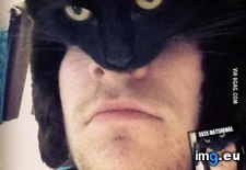 Tags: catman (Pict. in Rehost)