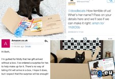 Tags: amazon, birthday, cat, cats, ruined (Pict. in My r/CATS favs)