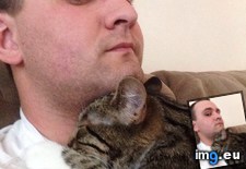 Tags: cats, day, sit, work (Pict. in My r/CATS favs)
