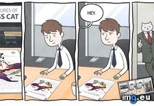 Tags: business, cat, cats (Pict. in My r/CATS favs)