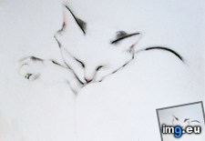 Tags: cat, cats, charlie, drawing, latest, sleepy (Pict. in My r/CATS favs)