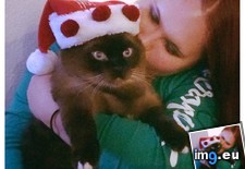 Tags: cats, christmas, got, hat, him (Pict. in My r/CATS favs)