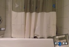 Tags: bathroom, cats, likes, people, scare (Pict. in My r/CATS favs)