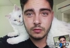 Tags: cat, cats, picture (Pict. in My r/CATS favs)