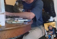 Tags: cats, uncle, works (Pict. in My r/CATS favs)