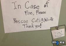 Tags: apartment, cats, complex, door, paramedic, patient, picked, was (Pict. in My r/CATS favs)
