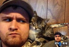Tags: cats, spot (Pict. in My r/CATS favs)