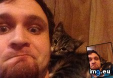 Tags: cats, spot (Pict. in My r/CATS favs)