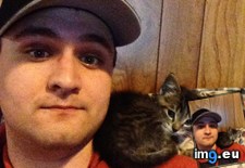 Tags: cats, spot (Pict. in My r/CATS favs)