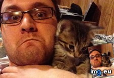 Tags: cats, spot (Pict. in My r/CATS favs)