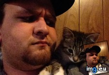 Tags: cats, spot (Pict. in My r/CATS favs)