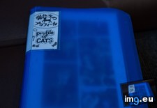 Tags: cafe, cat, cats, tokyo, visited (Pict. in My r/CATS favs)