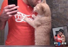 Tags: cats, dad (Pict. in My r/CATS favs)