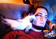 Tags: cats, watching (Pict. in My r/CATS favs)