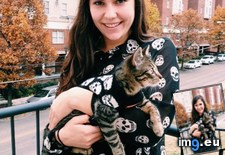 Tags: cats, kitty, mother (Pict. in My r/CATS favs)