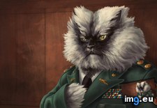 Tags: cats, colonel, great, jan, lead, may, meow, minions, oct, rip (Pict. in My r/CATS favs)