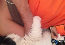 Tags: boyfriend, cat, cats, human, likes, spoon, years (Pict. in My r/CATS favs)