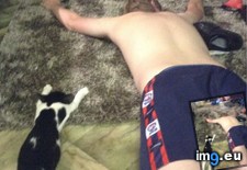 Tags: brother, cats, great, kitten (Pict. in My r/CATS favs)
