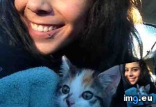 Tags: advice, all, cats, for, great, kitten, week (Pict. in My r/CATS favs)