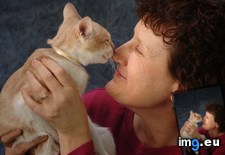 Tags: cat, cats, wife (Pict. in My r/CATS favs)