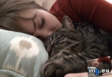 Tags: cats, mom, nap, time (Pict. in My r/CATS favs)