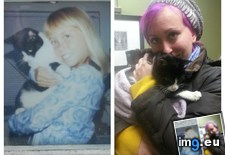 Tags: avoiding, buddy, camera, cats, friend, good, goodbye, morning, rest, was, years (Pict. in My r/CATS favs)