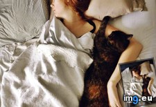 Tags: cats, cuddle, long, night (Pict. in My r/CATS favs)