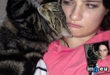 Tags: cat, cats, sleep (Pict. in My r/CATS favs)