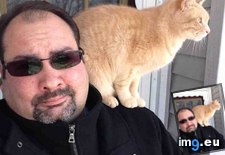 Tags: apparently, cats, now (Pict. in My r/CATS favs)
