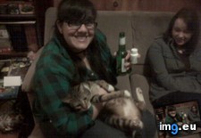 Tags: big, cat, cats, head, heart, life, stray, tiny (Pict. in My r/CATS favs)