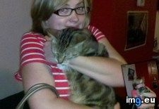 Tags: big, cat, cats, head, heart, life, stray, tiny (Pict. in My r/CATS favs)