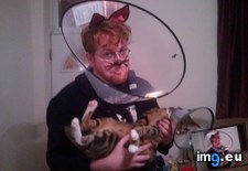 Tags: big, cat, cats, head, heart, life, stray, tiny (Pict. in My r/CATS favs)